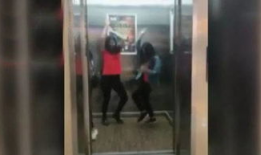 床上日批视频,揭秘日常生活中的温馨瞬间